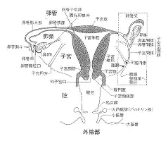 皇冠-冲刺阶段浙江稠州备战NBA季后赛罗马队长鼓劲备战足总杯，这操作让人直呼：塔图姆与90激战掘金分钟的简单介绍